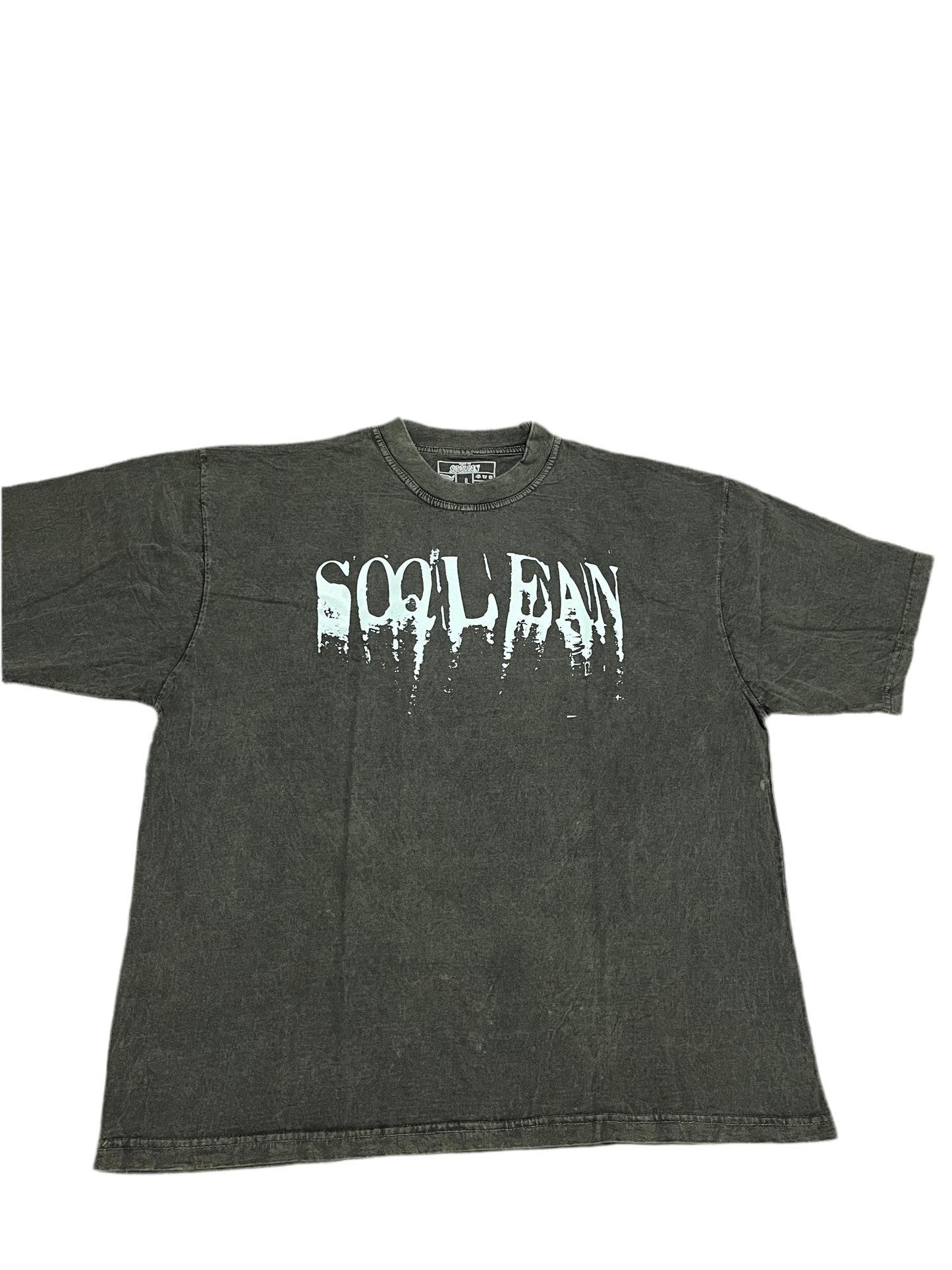 Soqlean eagle fly