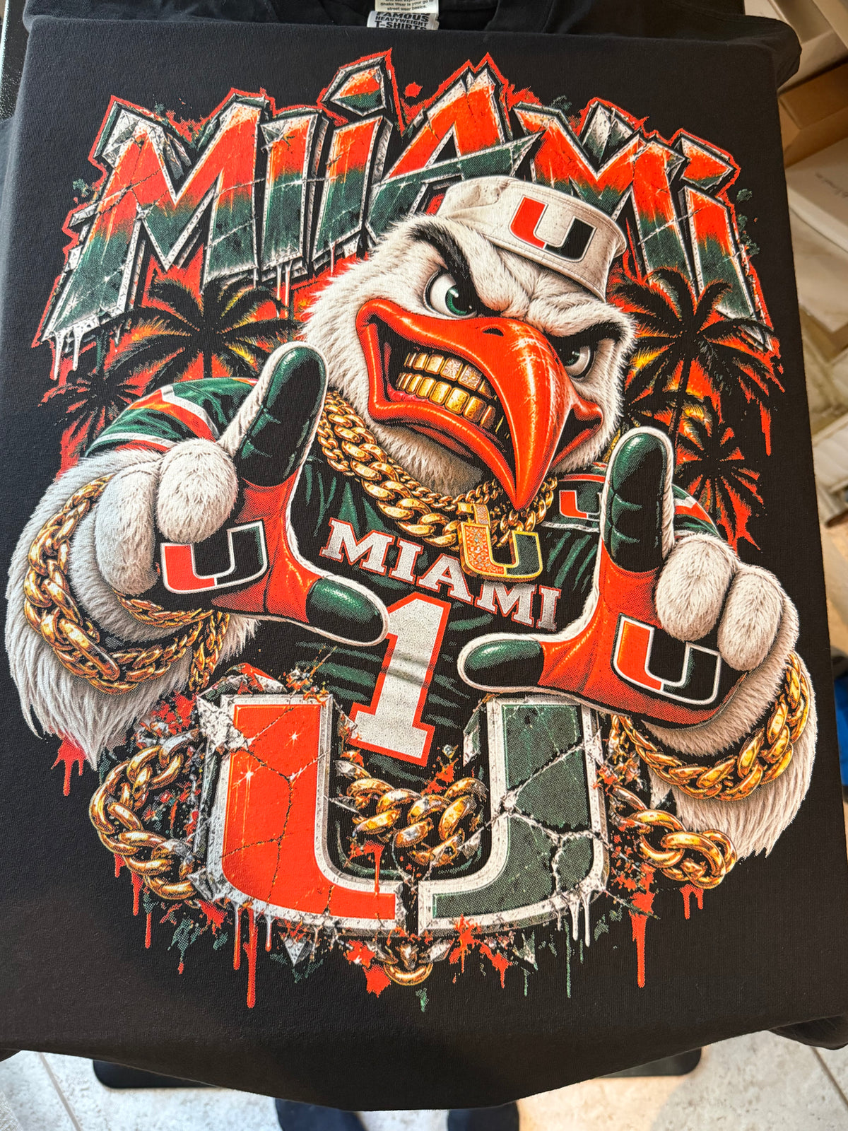 Soqlean-Miami hurricanes